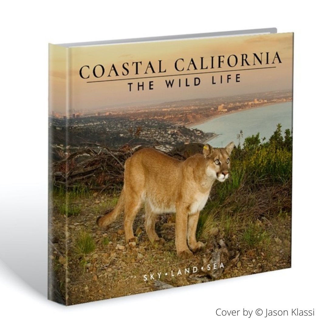 Coastal California - the Wild Life